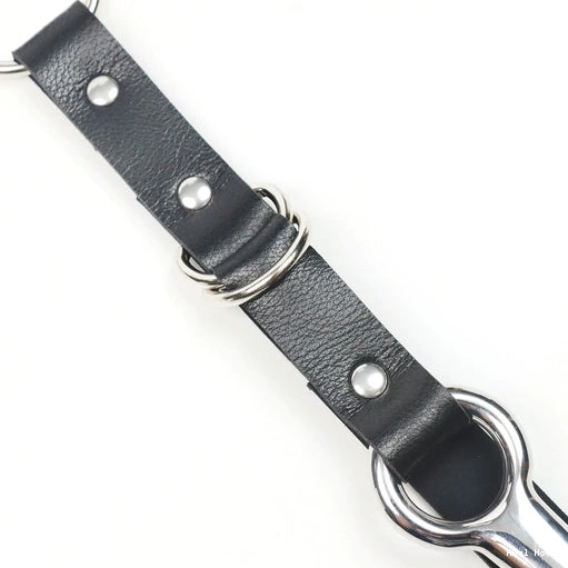 5853 Leash Anal Hook Kinky with Collar and EverydayUse 0211